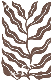 Paper cut-out botanical