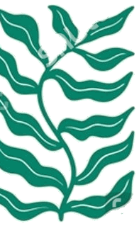 Paper cut-out botanical
